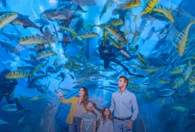 The Dubai Aquarium And Underwater Zoo: Truly Spectacular